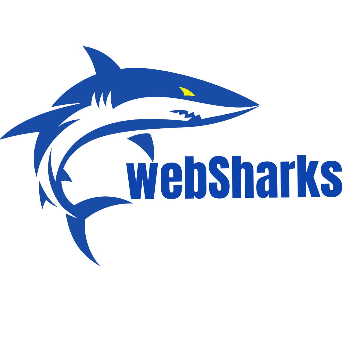 (c) Webagentur-websharks.ch